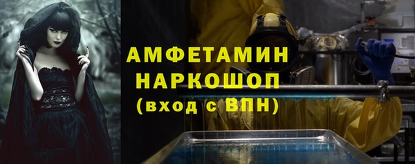 индика Вязьма