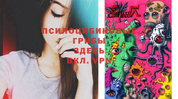 ешки Осташков