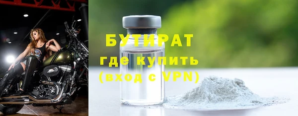 твердый Вяземский
