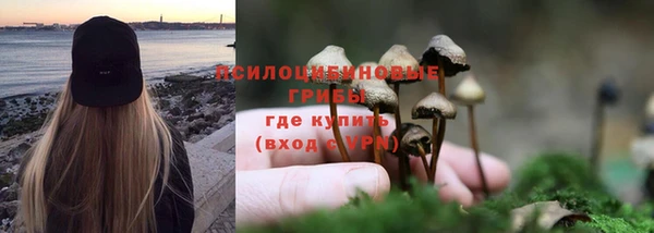 ешки Осташков