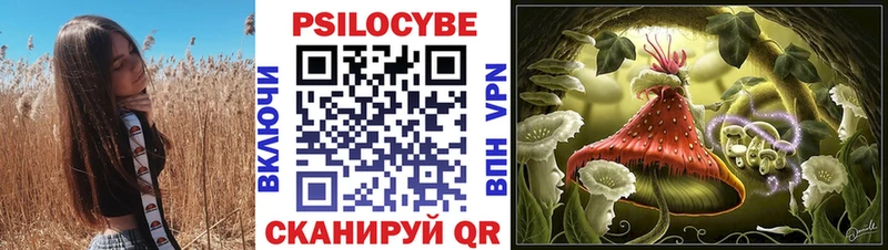 Псилоцибиновые грибы Psilocybe  Котельнич 