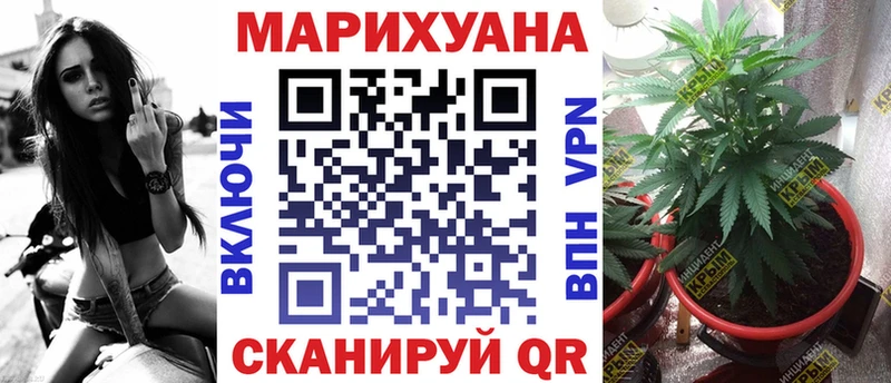 Марихуана индика  KRAKEN как зайти  Котельнич 